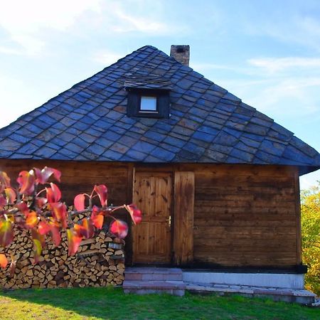 Cabin Menka Sirogojno Экстерьер фото